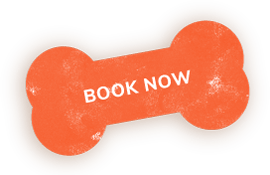 https://classickennels.je/wp-content/uploads/2019/08/book_now_shadow.png