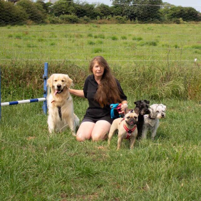 nicky manager classic kennels jersey kneeling in grass with dogs